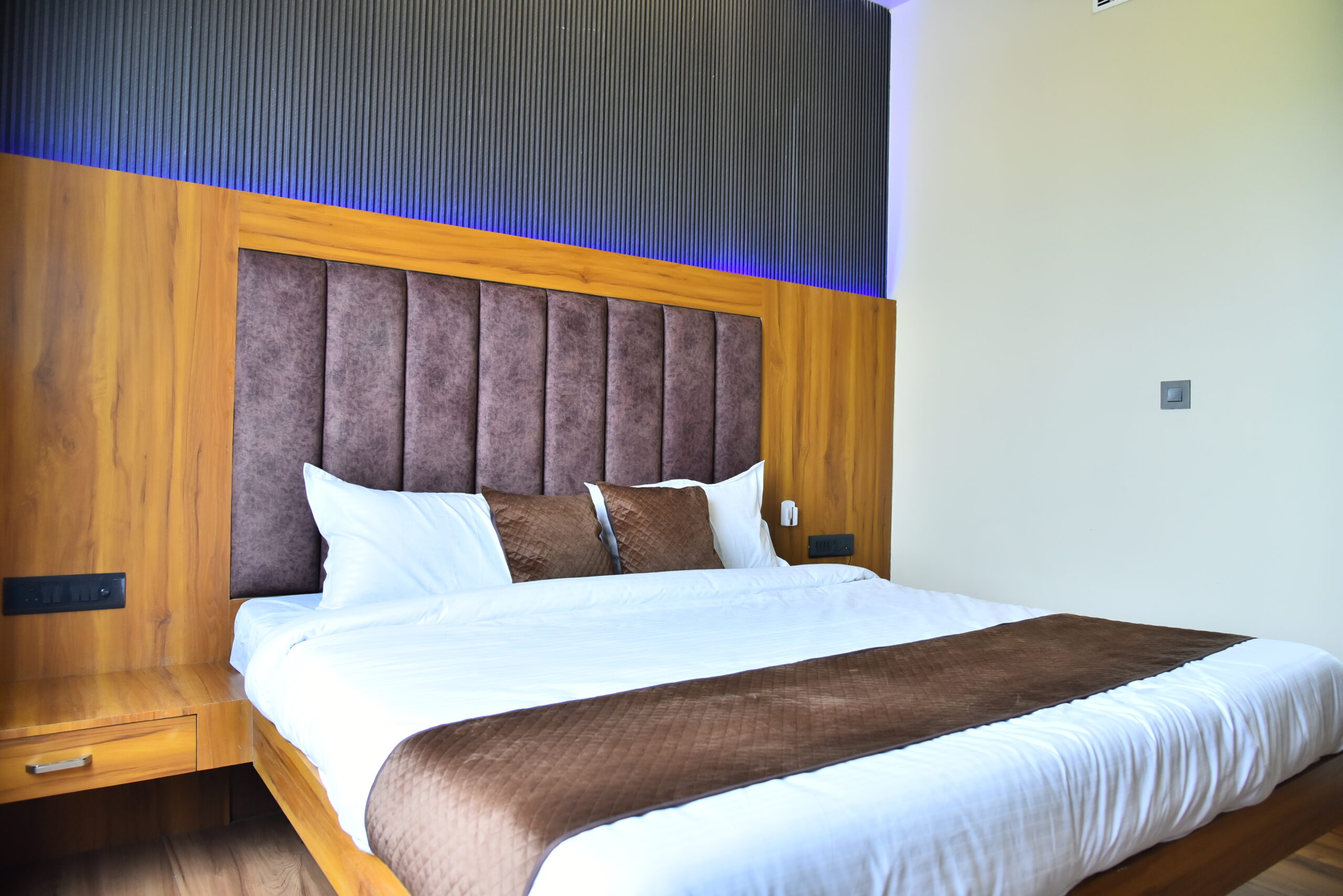 Premium Suite
